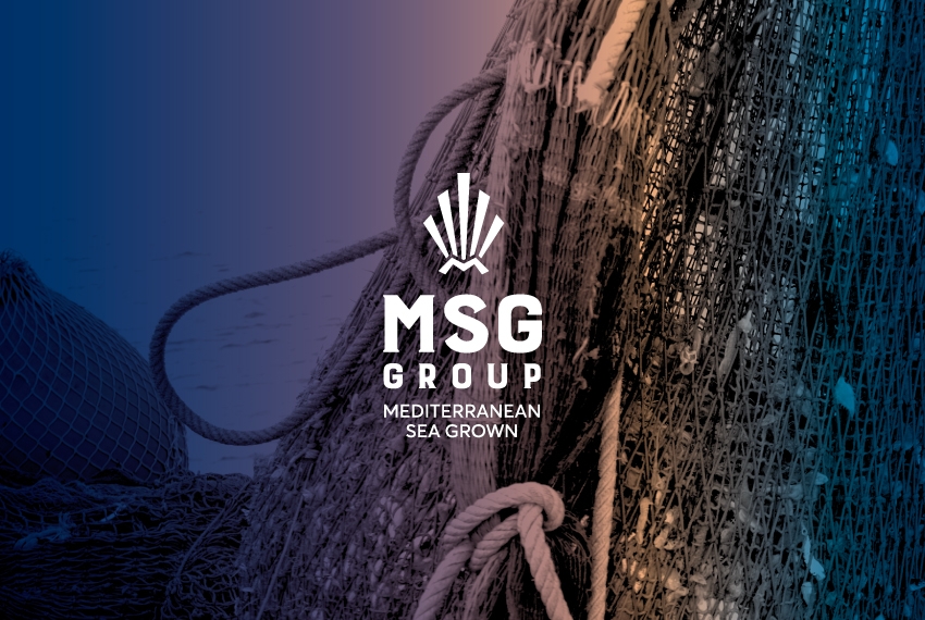 MSG group seafood promotion material with logo