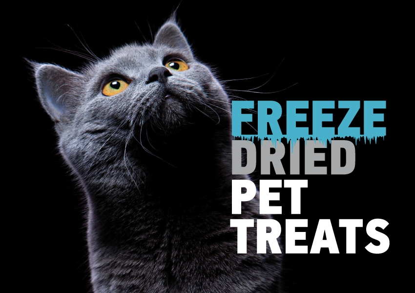Cat photo & Freeze dried pet treats