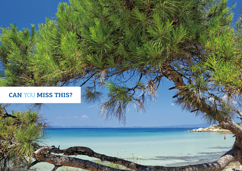 CAN YOU MISS THIS, HALKIDIKI PHOTO